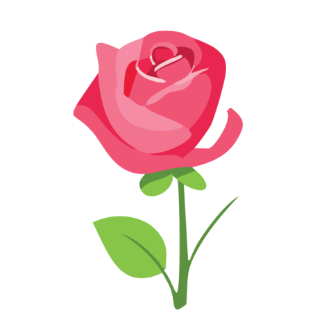 Transparent Rose Png