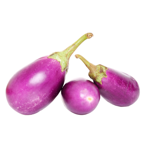 Brinjal png images free